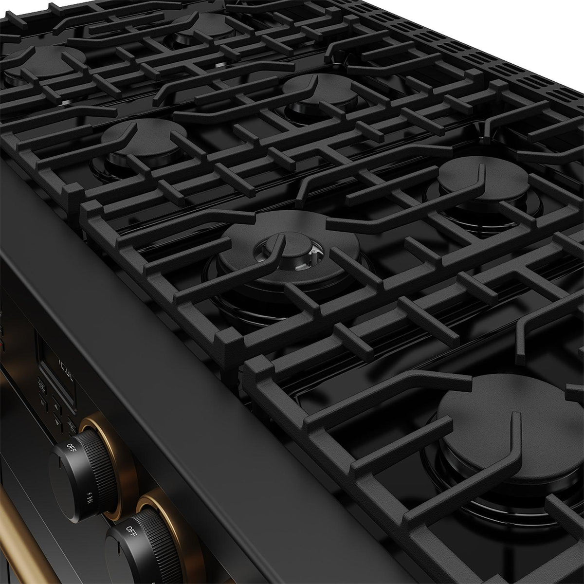 48 Inch Contemporary Professional Liquid Propane Range In Liquid Propane Black/bronze