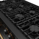 48 Inch Contemporary Professional Liquid Propane Range In Black/bronze