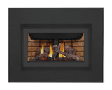 Inspiration ZC Direct Vent Gas Insert