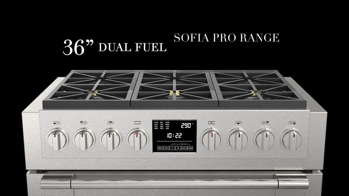 36" DUAL FUEL PRO RANGE