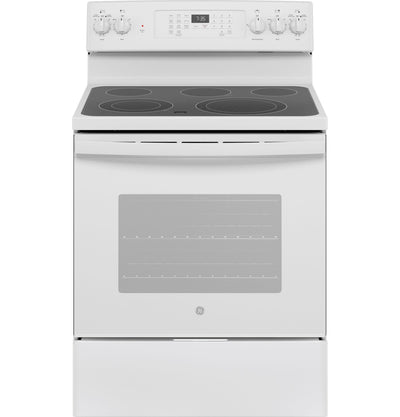 GE® 30