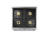 Gas Pro Range, Silver Stainless Steel, Liquid Propane