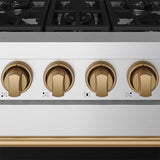 30 Inch Professional Liquid Propane With Precision Knob Control In Stainless Steel/bronze