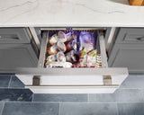 24 Inch Overlay Panel Door Undercounter Freezer Drawer