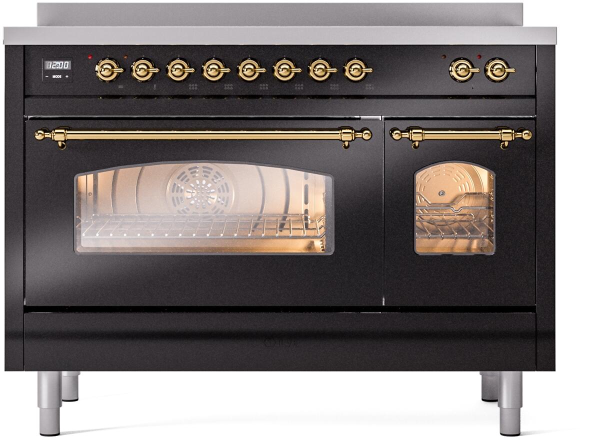 Nostalgie II 48 Inch Electric Freestanding Range in Glossy Black with Brass Trim