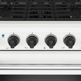 30 Inch Professional Gas Range In White