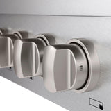 ZLINE 48 in. Paramount Gas Rangetop with 8 Brass Burners and Porcelain Cooktop in DuraSnow' Stainless Steel (SRTS-BR-48)