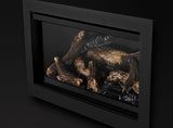 Rosedale 2 Direct Vent Gas Insert
