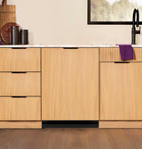 GE Profile™ ENERGY STAR® Panel-Ready Top Control Stainless Interior Dishwasher with Microban™ Antimicrobial Technology