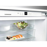Undercounter Refrigerator 24", Reversible Door
