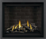 Altitude? X 42 Direct Vent Gas Fireplace