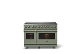 48"W. Induction Range (Finish: Eucalyptus, Trim: Brushed Brass)
