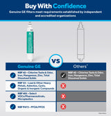 GE® RPWFE™ REFRIGERATOR WATER FILTER