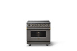 36"W. Induction Range (Finish: Damascus Gray, Trim: Brushed Brass)