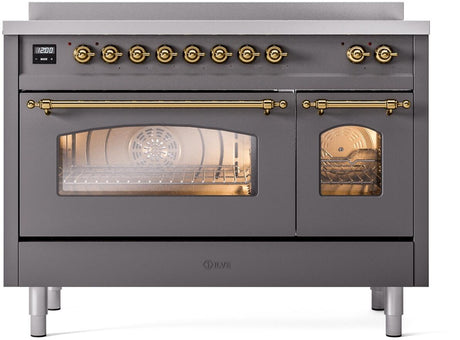 Nostalgie II 48 Inch Electric Freestanding Range in Matte Graphite with Brass Trim