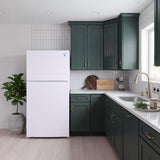 Avanti MaxxSpace Insulation™ Technology Garage-Ready Frost-Free Ice Maker-Ready Refrigerator, 24 cu. ft., ENERGY STAR, White (AVFF24DLJM0W)