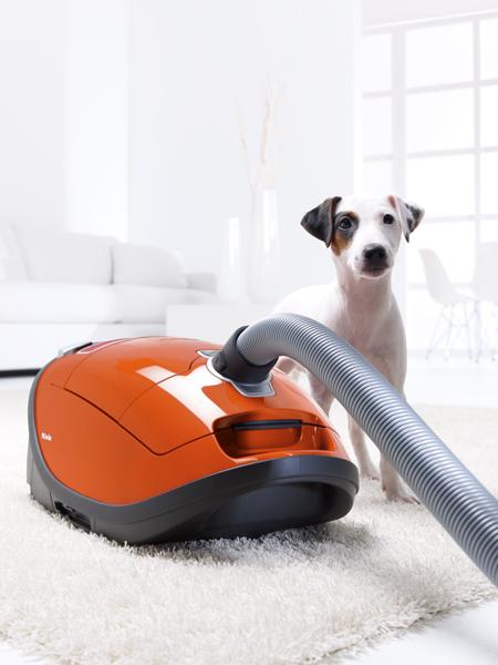 S8380 Cat & Dog