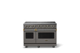 48"W. Induction Range (Finish: Damascus Gray, Trim: Brushed Brass)