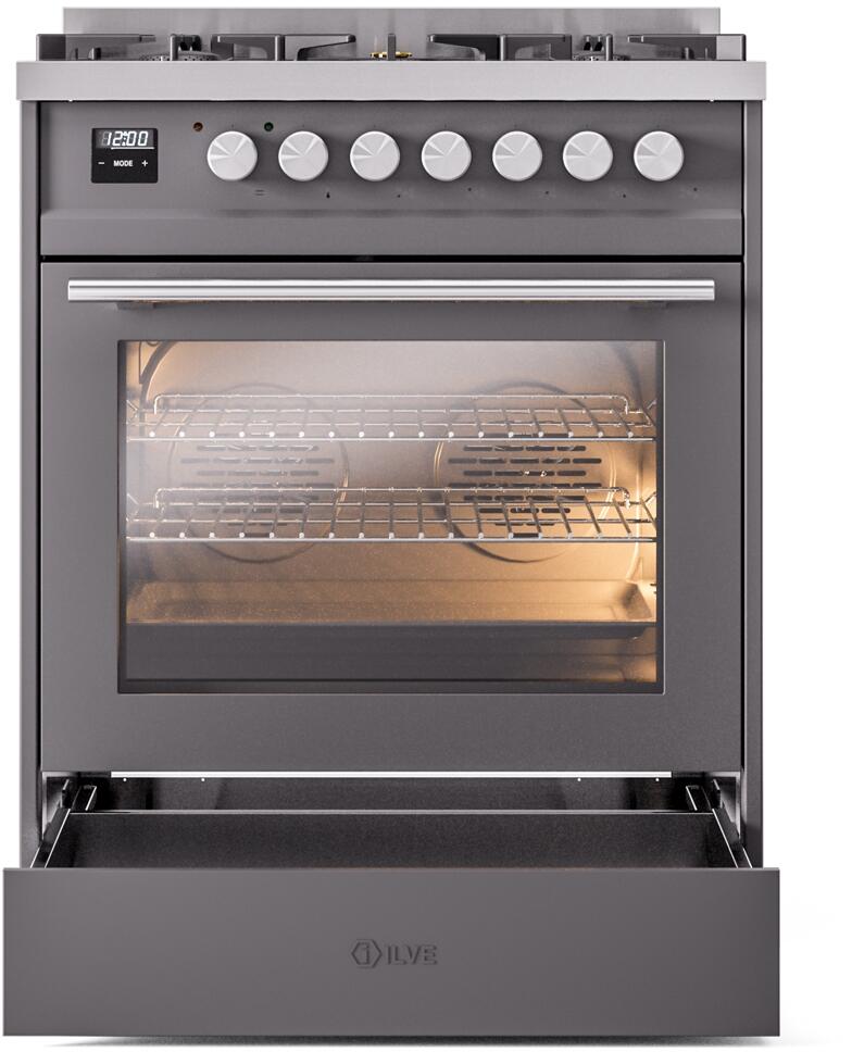 Professional Plus II 30 Inch Dual Fuel Natural Gas Freestanding Range in Matte Graphite with Trim