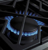 GE Monogram® 36" Dual-Fuel Professional Range with 6 Burners (Natural Gas)