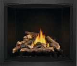 Elevation 42 Direct Vent Gas Fireplace