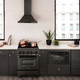 ZLINE 24" 2.8 cu. ft. Induction Range with a 4 Element Stove and Electric Oven in Black Stainless Steel (RAIND-BS-24)