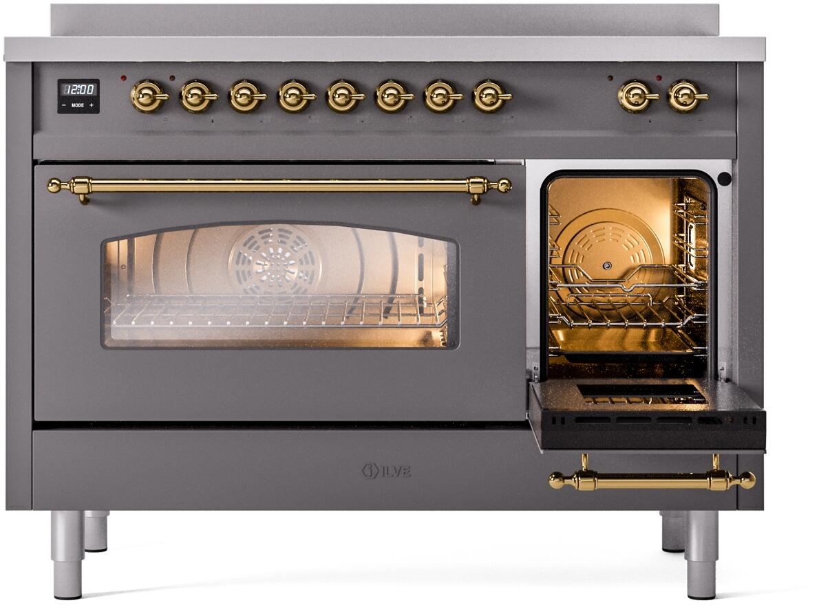 Nostalgie II 48 Inch Electric Freestanding Range in Matte Graphite with Brass Trim