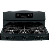 GE Profile™ Series 30" Free-Standing Self Clean Gas Range