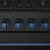 30 Inch Professional Gas With Precision Knob Control In Black/blue