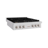 ZLINE 36 in. Paramount Gas Rangetop with 6 Brass Burners and Porcelain Cooktop in DuraSnow' Stainless Steel (SRTS-BR-36)