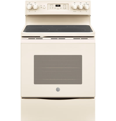 GE® 30