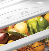 GE Profile™ 48" Smart Built-In Side-by-Side Refrigerator with Dispenser