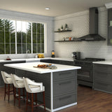 ZLINE Mona Kitchen Faucet in Chrome (MNA-KF-CH)
