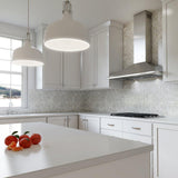 24" 600 CFM Italian Made Wall Mount Chimney Range Hood Stainless