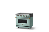 36"W. Induction Range (Finish: Splash, Trim: Brushed Brass)