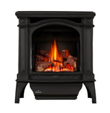 Bayfield? Direct Vent Gas Stove