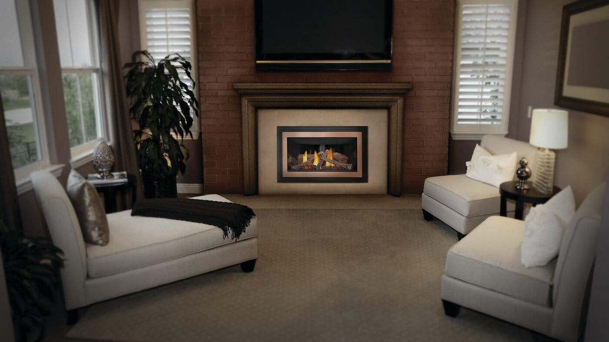 Inspiration ZC Direct Vent Gas Insert