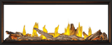 Tall Linear Vector? 62 See Through Direct Vent Gas Fireplace