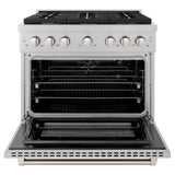 ZLINE 36 in. 5.2 cu. ft. Gas Range with Convection Gas Oven in DuraSnow' Stainless Steel with 6 Brass Burners (SGRS-BR-36)