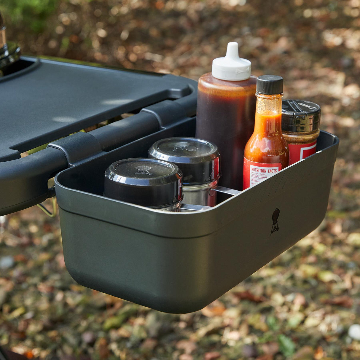 WEBER TRAVELER® Portable Gas Grill - Black