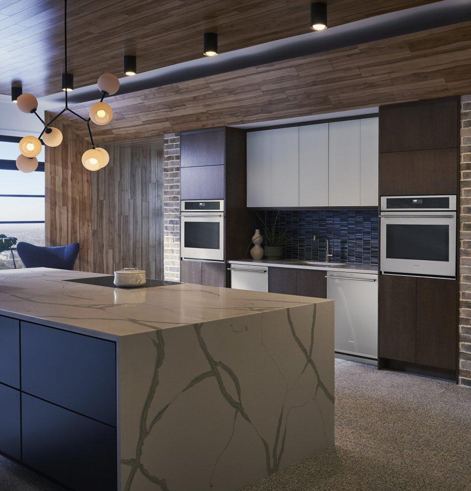 Monogram Fully Integrated Dishwasher