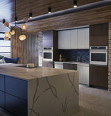 Monogram Fully Integrated Dishwasher