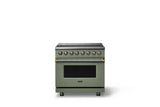 36"W. Induction Range (Finish: Eucalyptus, Trim: Brushed Brass)