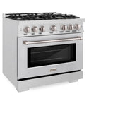 ZLINE 36 in. 5.2 cu. ft. Select Dual Fuel Range with 6 Burner Gas Cooktop and Electric Convection Oven in DuraSnow' Stainless Steel (HDRS-36)