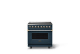 36"W. Induction Range (Finish: Squall, Trim: Brushed Brass)