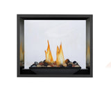 High Definition 81 Direct Vent Gas Fireplace