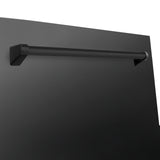 ZLINE 24" Monument Dishwasher Panel with Traditional Handle and Color Options (DPMT-24) [Color: Black Stainless Steel]