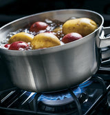 GE® 30" Free-Standing Gas Range
