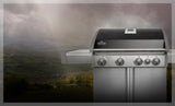 Triumph® 495 with Side Burner