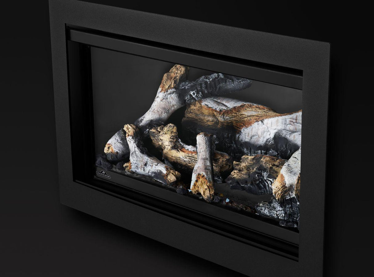Rosedale 2 Direct Vent Gas Insert